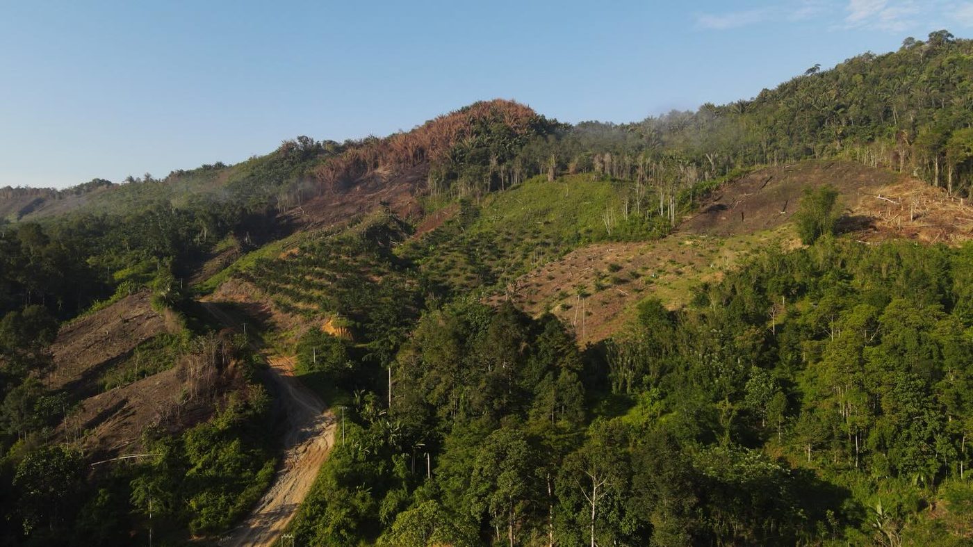 Hills where the forest has been cleared