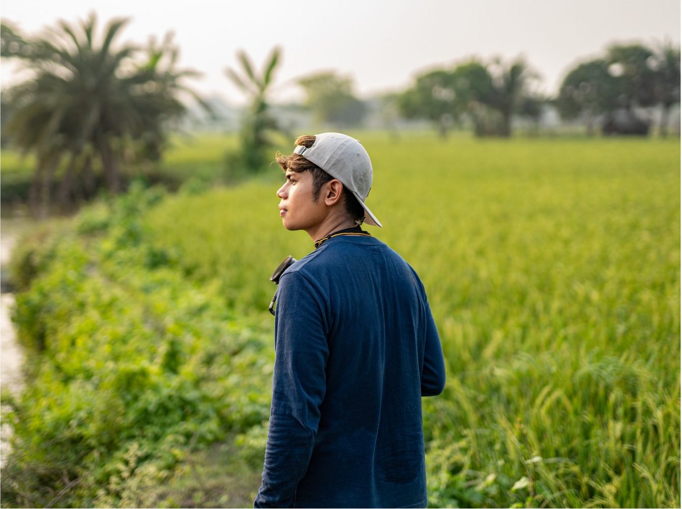 Narita Jun in profile, wearing a cap and looking into the distance among green rice plants