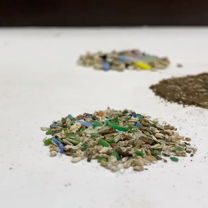 Colorful microplastics sifted from the sand