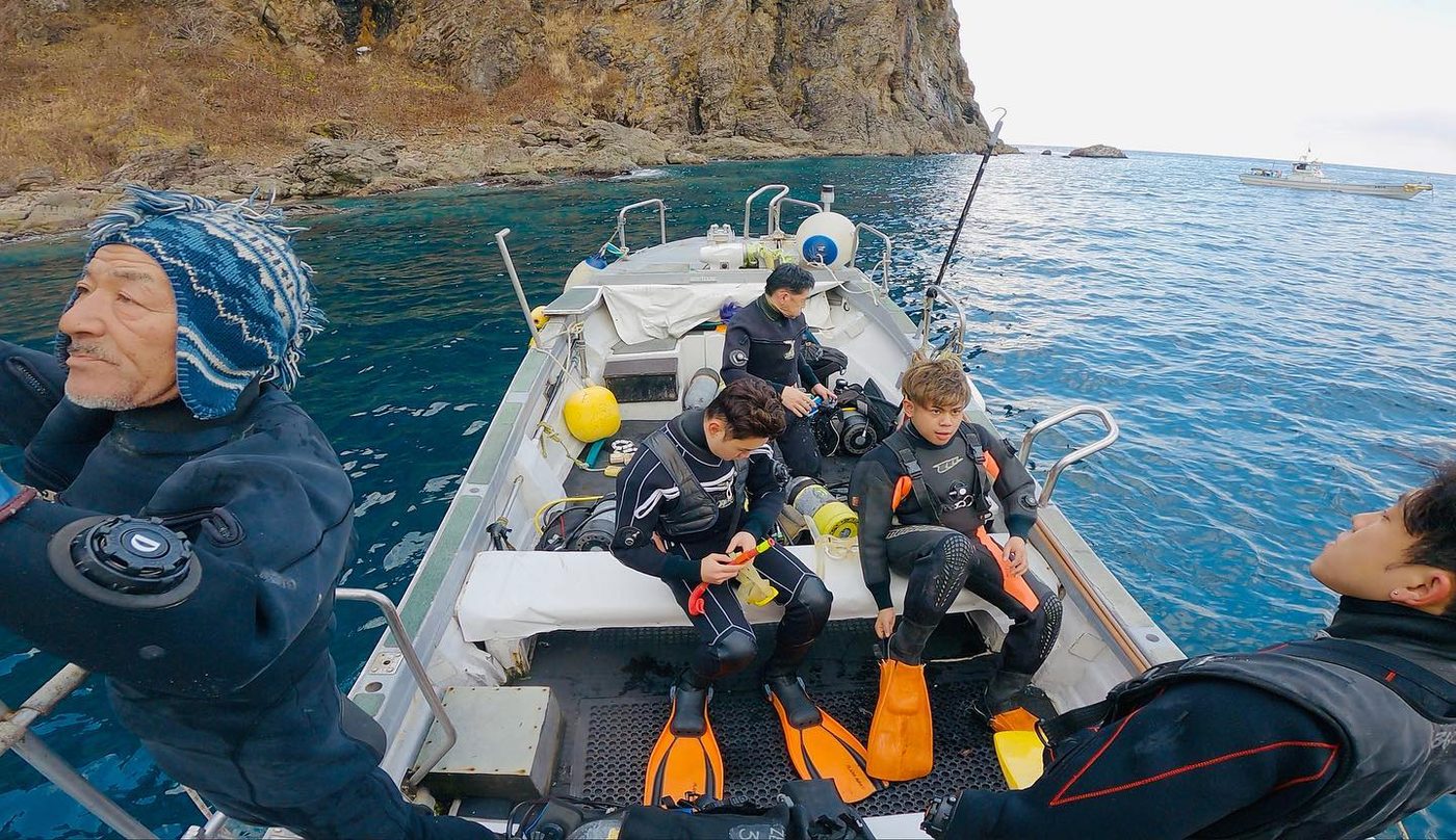 Steller sea lions in Shakotan